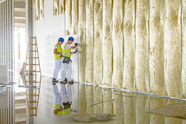 Best Insulation Maintenance and Repair in Evanston, IL